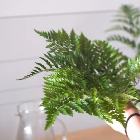 Lar Atlantica * Vigo